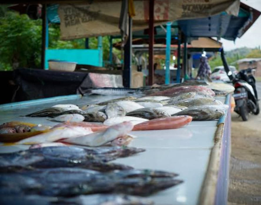 sebagian warga gampong hagu barat laut selalu mencari nafkah dengan cara berjualan ikan segar